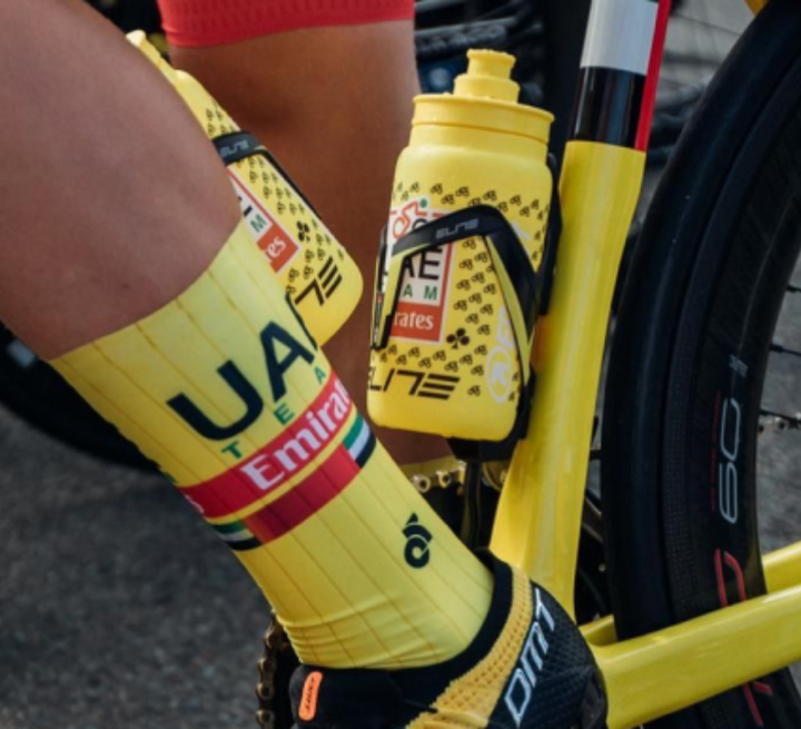 Cycling Catalogue Champion System US